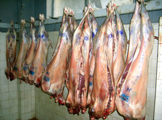 Algeria : Protracted veterinarians' strike trigger anarchical situation on meat and fish market