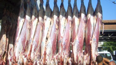 Importing meat undermines livestock production in Algeria: official says