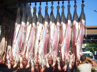 Importing meat undermines livestock production in Algeria: official says