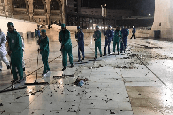 La Mecque envahie par les cafards !