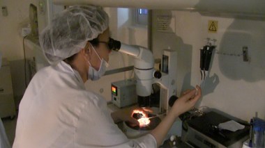 Mysterious Fate Of Frozen Eggs, Sperm Of Algerians After Death