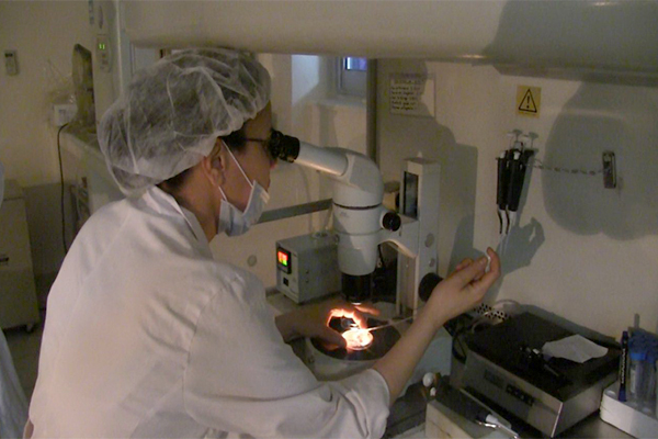 Mysterious Fate Of Frozen Eggs, Sperm Of Algerians After Death