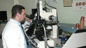 أجر قاعدي بـ44 ألف دينار للأطباء المفتشين و34 ألف لجراحي الاسنان المفتشين