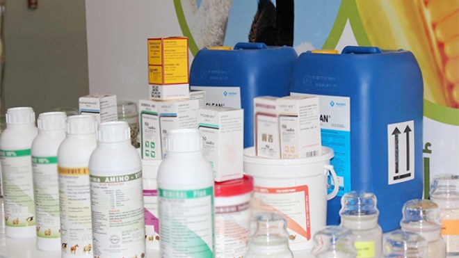 حجز أدوية بيطرية مهربة من أمريكا بسطيف