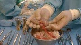 مصالح الأمن تحقق في مآسي وقعت في عيادة خاصة بقسنطينة