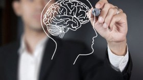 عشرون سنة ضد العقل!