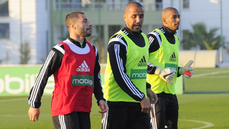 مهدي لحسن: تأقلمنا مع طريقة غوركوف وحظوظنا متساوية مع “الفيلة”