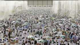 95 مليون حاج.. في 50 عاما