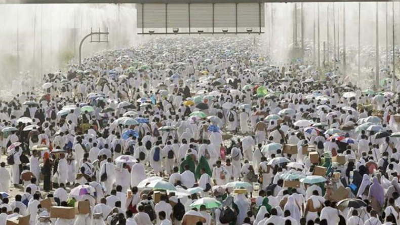 95 مليون حاج.. في 50 عاما