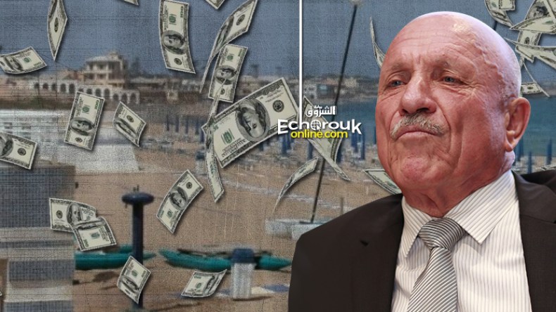 بالأرقام وملايين الدولارات.. حقائق صادمة عن فساد ملزي!