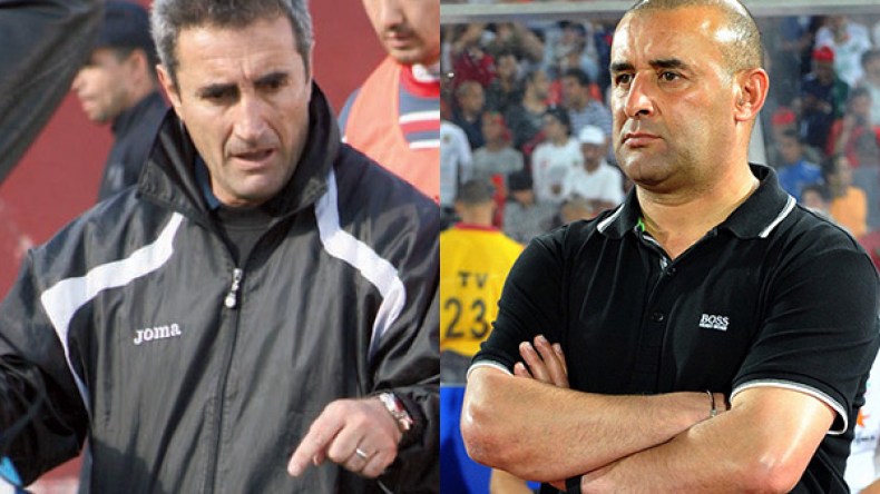 المدربون الجزائريون “فاشلون” في تجاربهم خارج الوطن