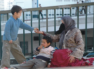 New legal procedures in Algeria law