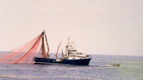 عائلات مفقودي سفينة “يونس 2” تتهم تونس باحتجاز أبنائها!