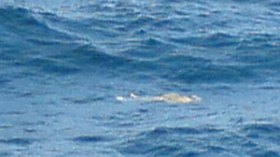 أربعة عشر غريقا بمستغانم بينهم شاب حاصل على البكالوريا