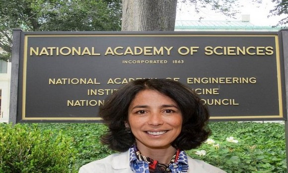 Le Président Tebboune félicite le Pr.Meriem Merad pour son élection à l’académie des sciences d’Amérique