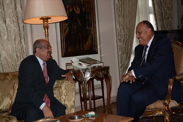 Crise libyenne: l’Algérie veut l’appui de l’Égypte