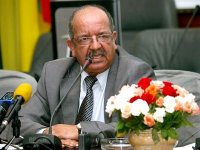 Ouverture de la Conférence ministérielle du partenariat Afrique-Turquie à Istanbul