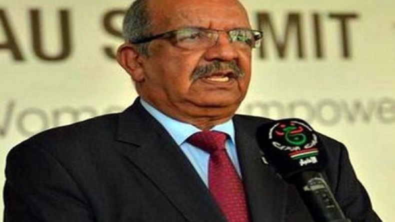 مساهل يشارك في القمة الثالثة لمنتدى الشراكة “الهند-إفريقيا”