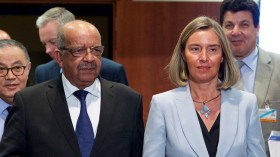 موغريني في الجزائر الإثنين القادم