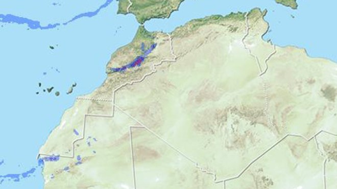 اضطراب جوي خفيف من الاثنين إلى الأربعاء