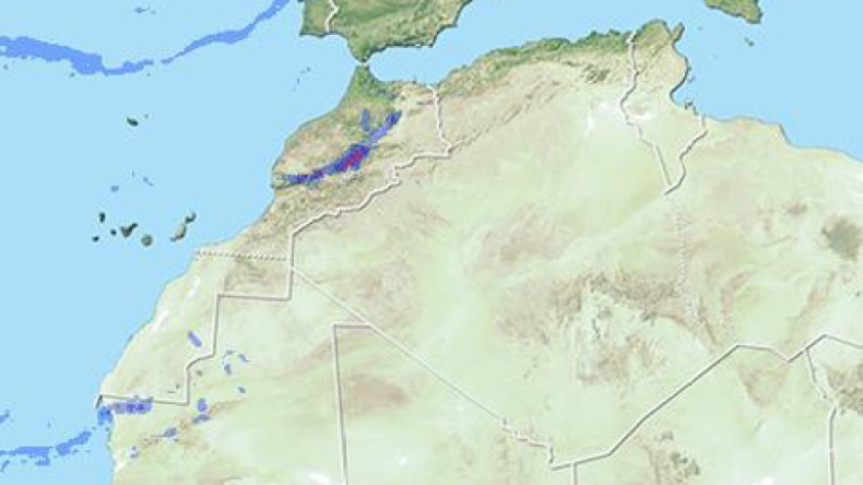 اضطراب جوي خفيف من الاثنين إلى الأربعاء