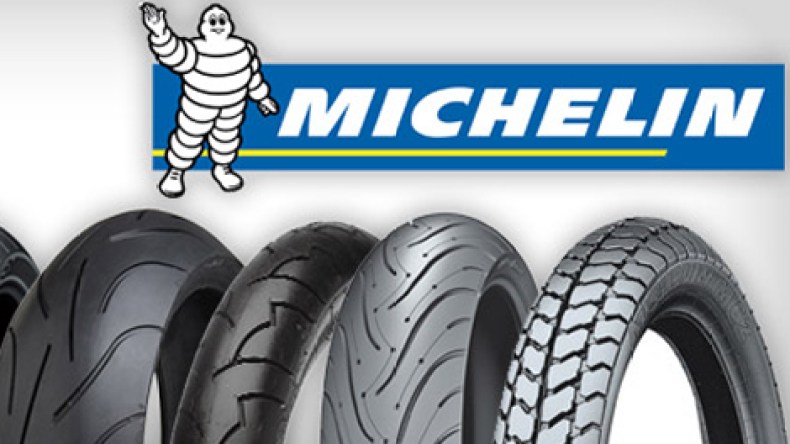 الحكومة تقرر ممارسة حق الشفعة على شركة ميشلان