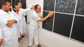 منتجات ذات جودة عالية وتكوين مجاني للمطبقين من أجل الاستعمال المحترف