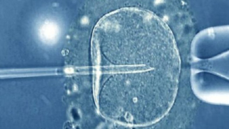 ميلاد أول طفل من “ثلاثة أشخاص” لأسرة اردنية باستخدام طريقة جديدة