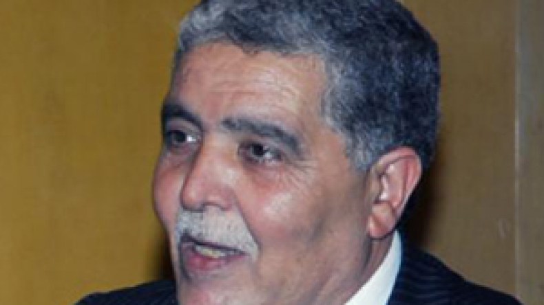 شرفي: البلاد ليست بحاجة لقنوات إثارة الفتن