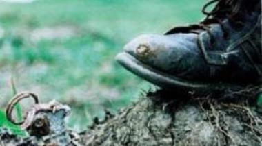 Destruction de 6 973 mines datant de l'ère coloniale