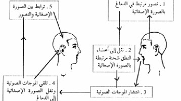 عاهات الحبسة اللغوية والحبسة المعرفية