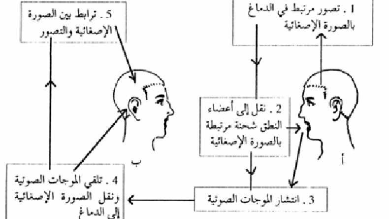 عاهات الحبسة اللغوية والحبسة المعرفية