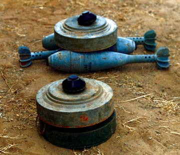 Mines smuggling attempt foiled west of Algeria