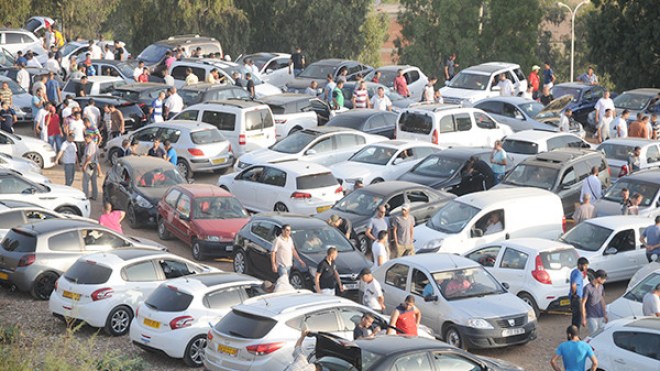 الأسعار نار.. وسماسرة يحتكرون البيع والشراء!