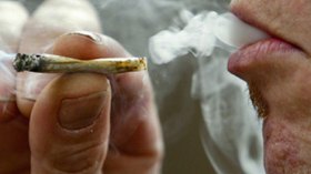 “الماريخوانا” أكثر أنواع المخدرات استهلاكا في الجزائر