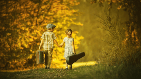 صفصافة الظّلّ القديم