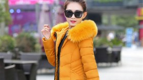 الأصفر الخردلي.. لون الشتاء الجامح