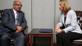 موغريني: الجزائر شريك هام للاتحاد الأوروبي