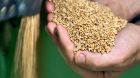 L’Onu alerte: Le monde menacé de pénurie alimentaire