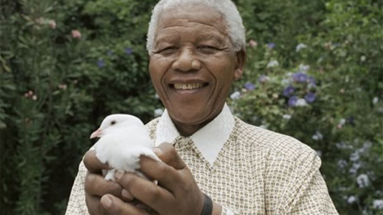 تضايق النظام المغربي من مواقف “مانديلا” يفيض في ملعب أغادير