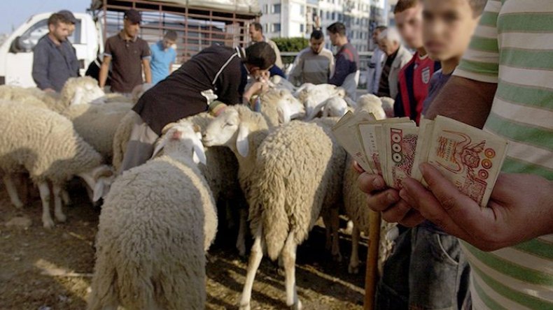 استنفار أمني ضد النقود المزورة قبل عيد الأضحى