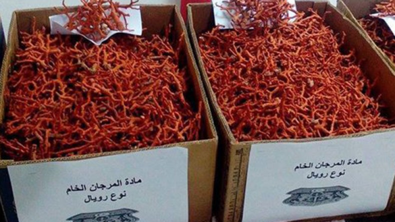 إحباط تهريب كمية من المرجان إلى تونس