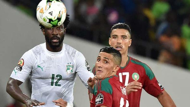 “أسود الأطلس” يفترسون “الفيلة”.. و”الفهود” يلتهمون “الصقور”