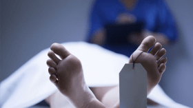 الخبرة العقلية تثبت “جنون” قاتل والدته بالبليدة