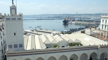 الجزائريون بين المداخلة والشّيعة