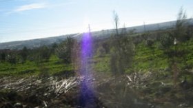 مستثمر بمستغانم يقوم بتحويل أرض فلاحية إلى مرملة