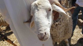 “لا تزيدوا معاناة الفقراء بفضحهم على مواقع التواصل الاجتماعي”