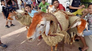 أعيدوا لنا عيدنا!