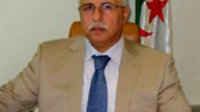 قمة بين رجال الأعمال الجزائريين والأمريكيين لإرساء شراكات استثمارية