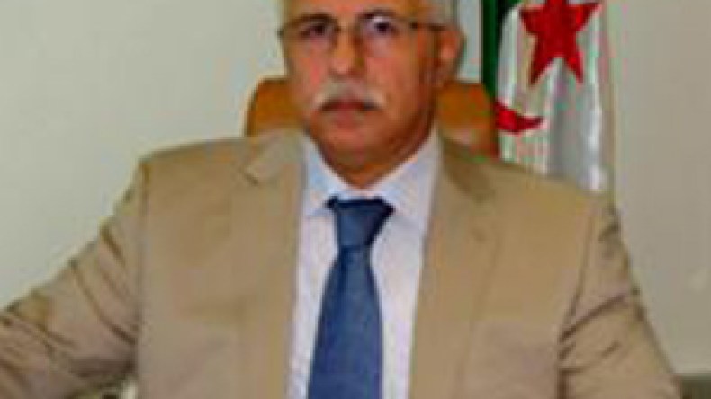 قمة بين رجال الأعمال الجزائريين والأمريكيين لإرساء شراكات استثمارية